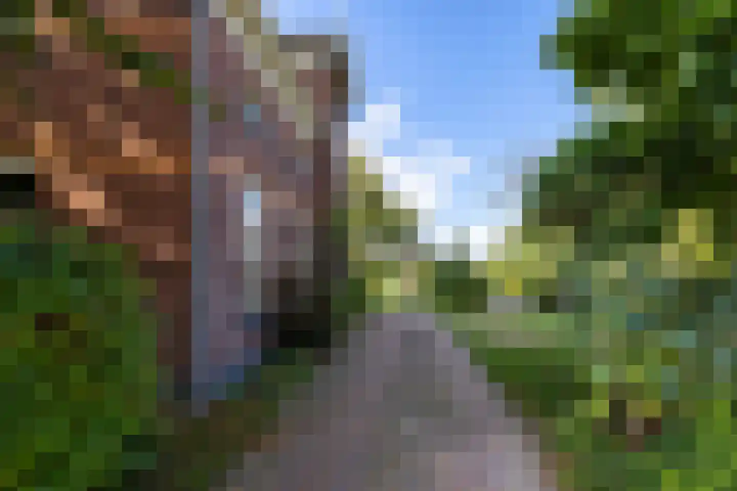 Steverinkstraat 63 Gaanderen thumbnail 87