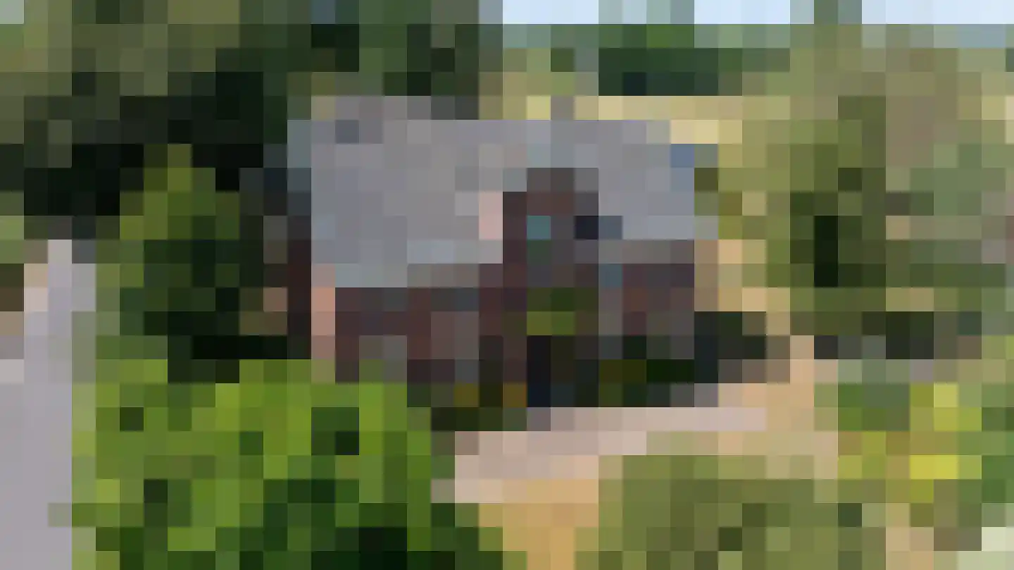 Steverinkstraat 63 Gaanderen thumbnail 92