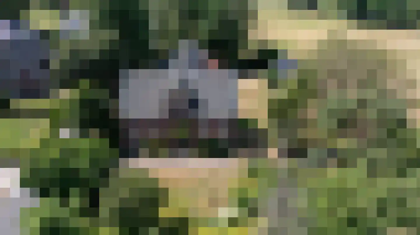Steverinkstraat 63 Gaanderen thumbnail 93