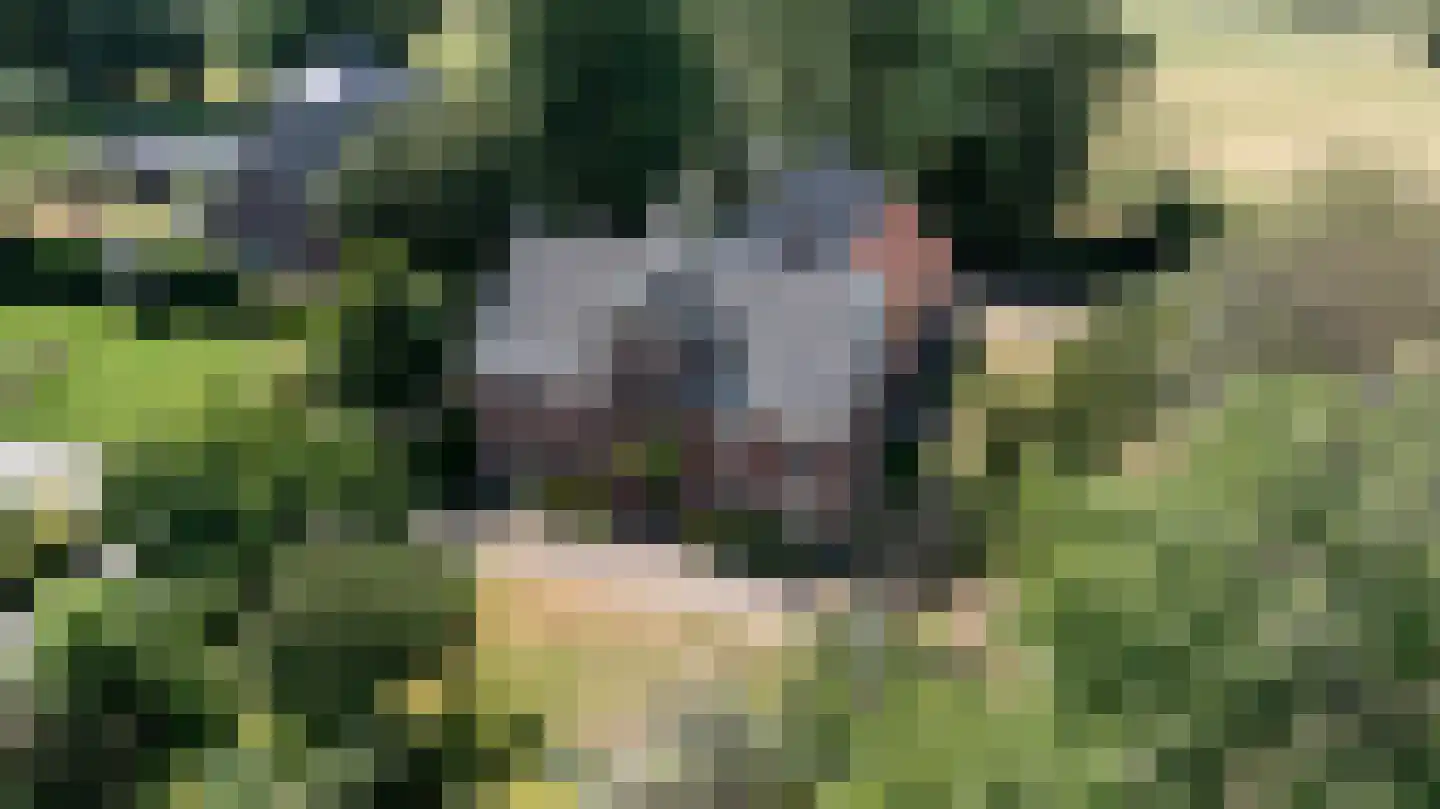 Steverinkstraat 63 Gaanderen thumbnail 94