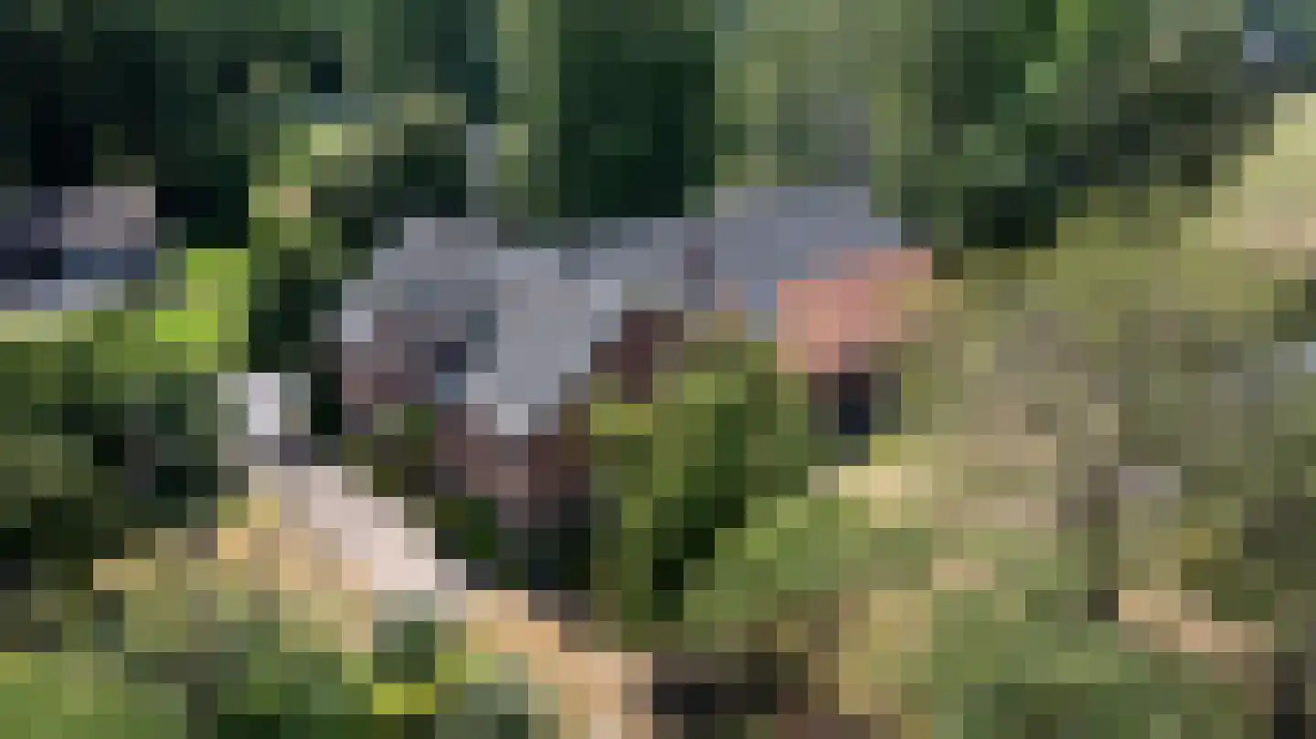 Steverinkstraat 63 Gaanderen thumbnail 95