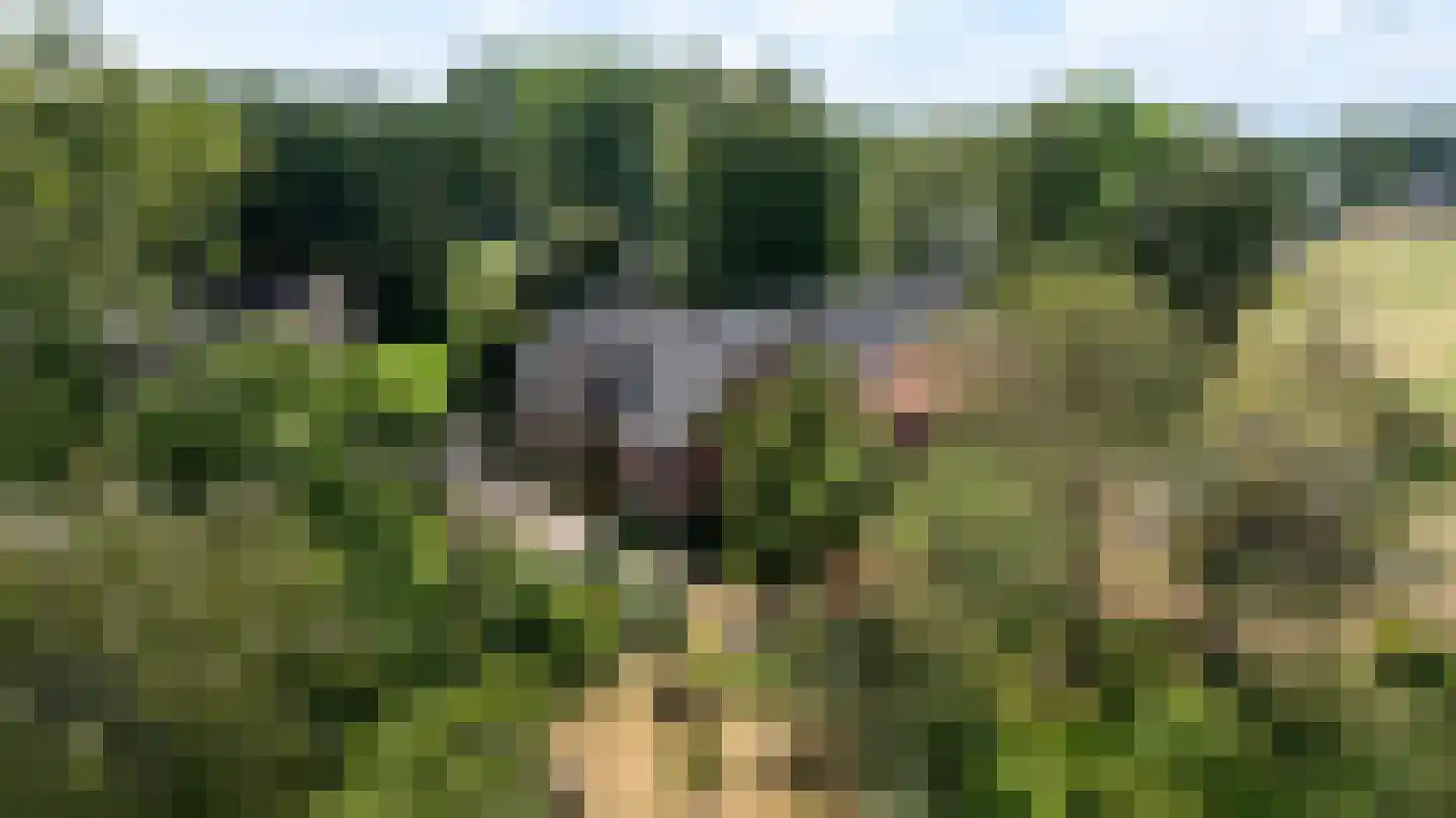 Steverinkstraat 63 Gaanderen thumbnail 96