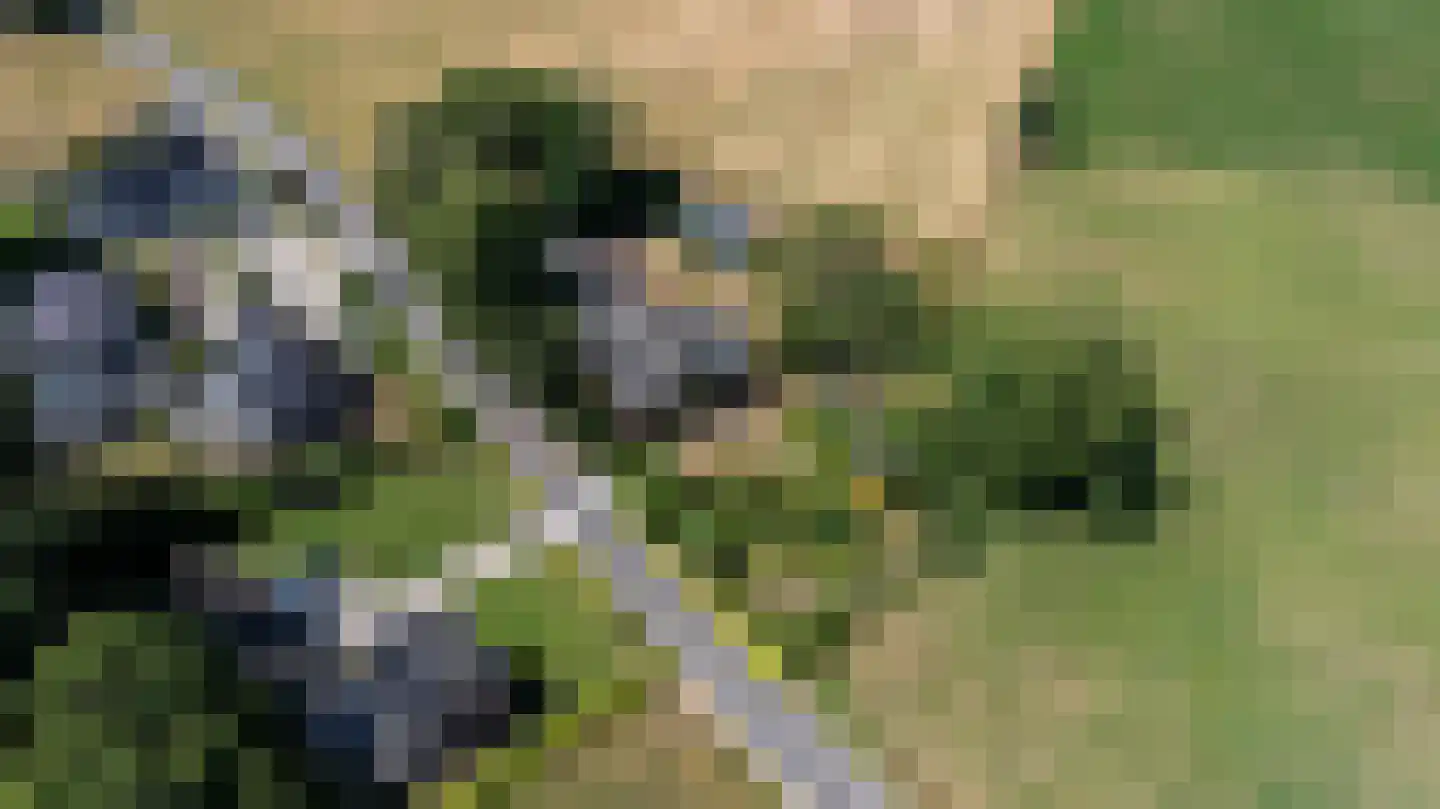 Steverinkstraat 63 Gaanderen thumbnail 99