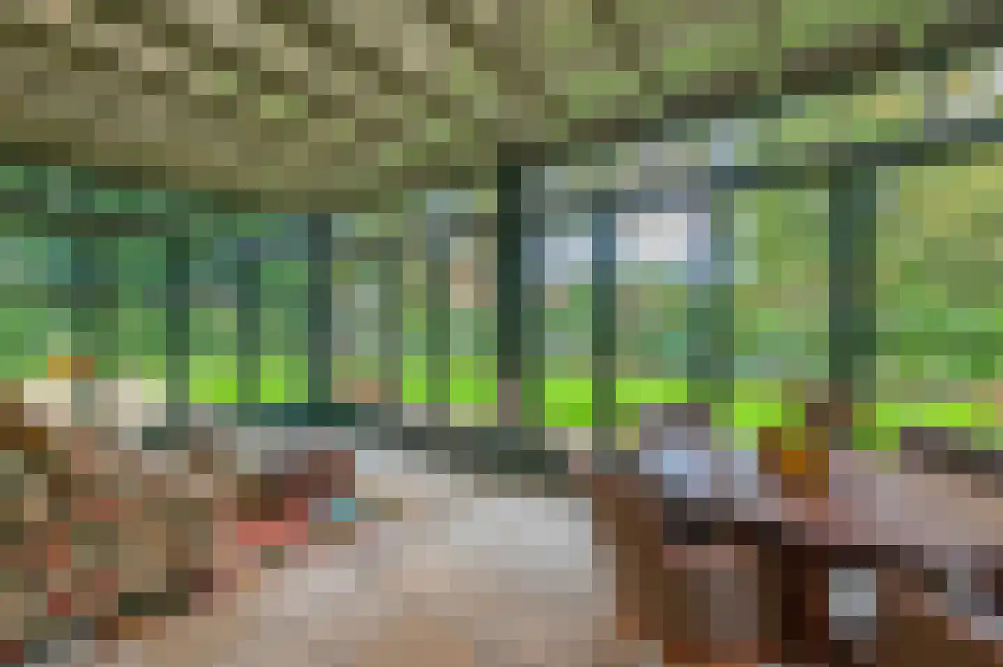 Stevert 35 Steensel thumbnail 23