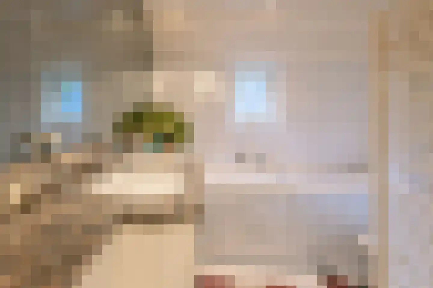 Stevert 35 Steensel thumbnail 33