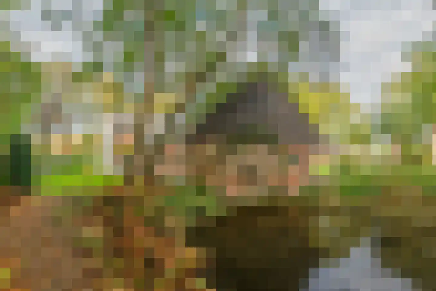 Stevert 35 Steensel thumbnail 42