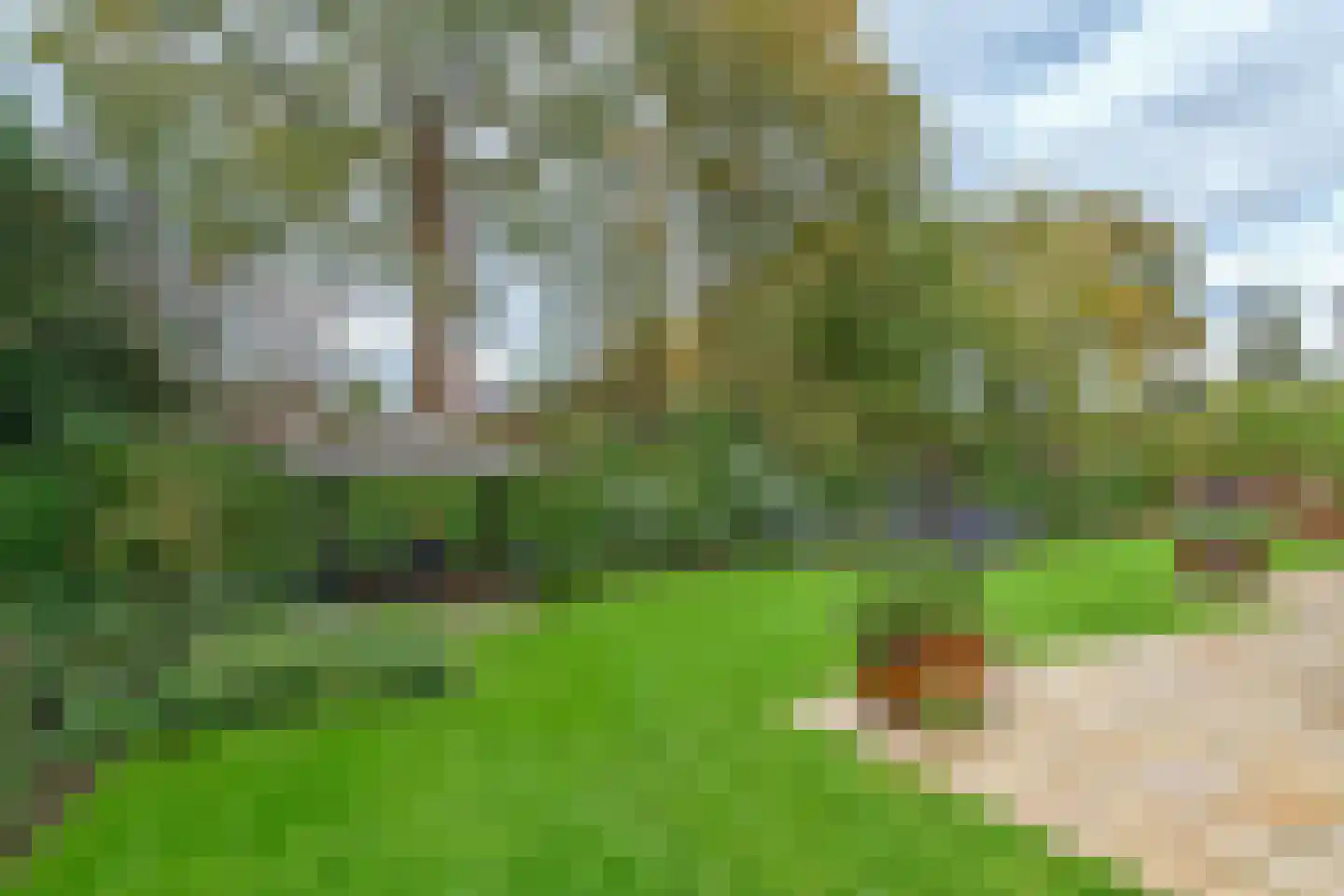 Stevert 35 Steensel thumbnail 49