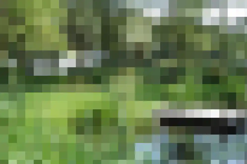 Stevert 35 Steensel thumbnail 5