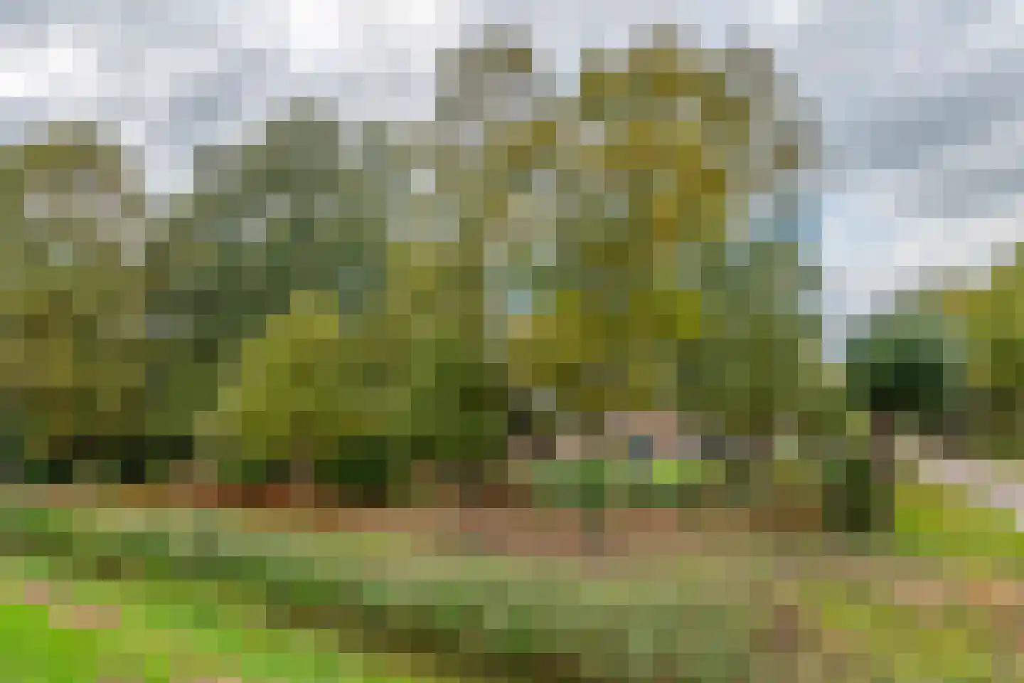 Stevert 35 Steensel thumbnail 55