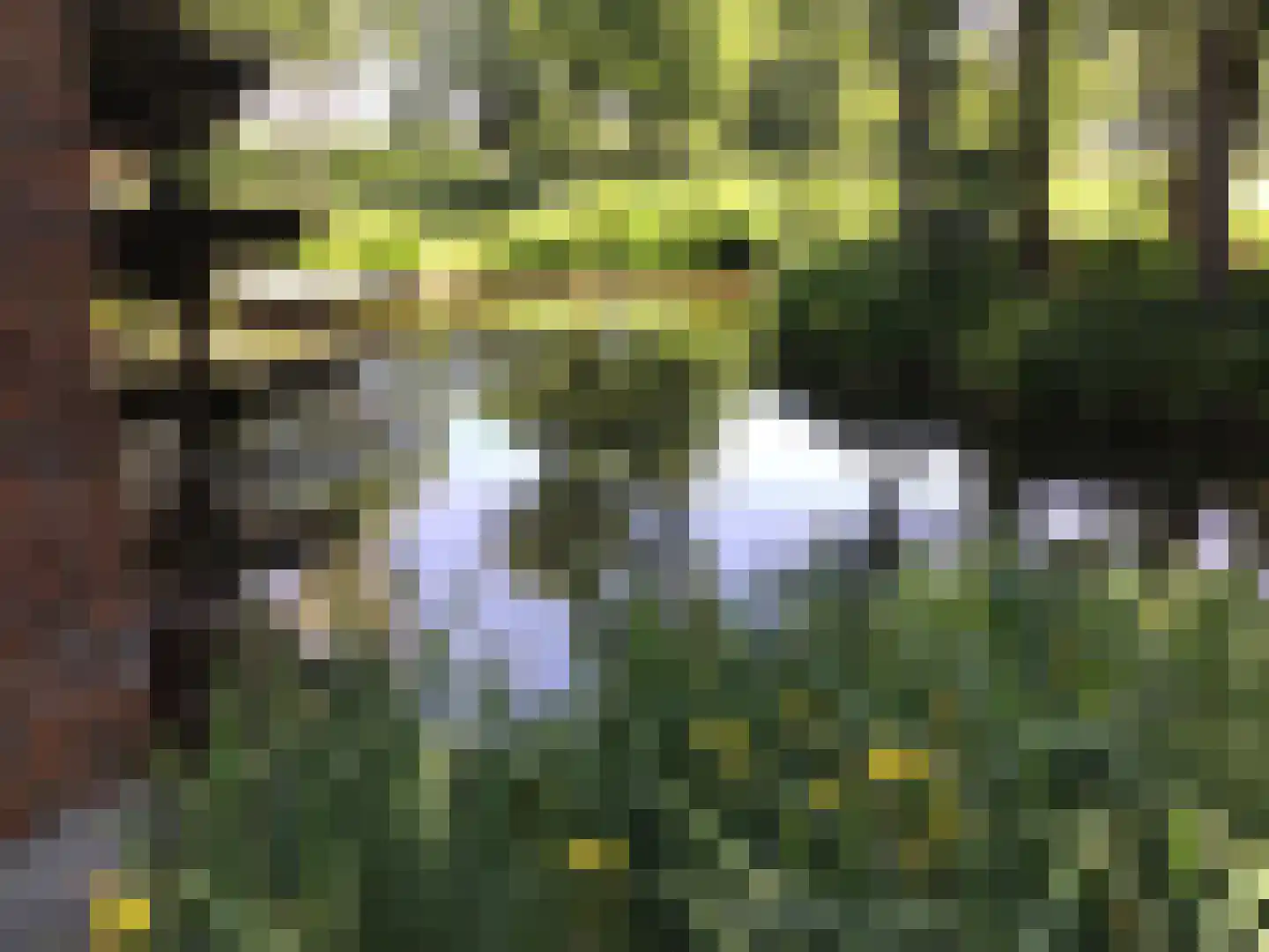 Stevert 35 Steensel thumbnail 6