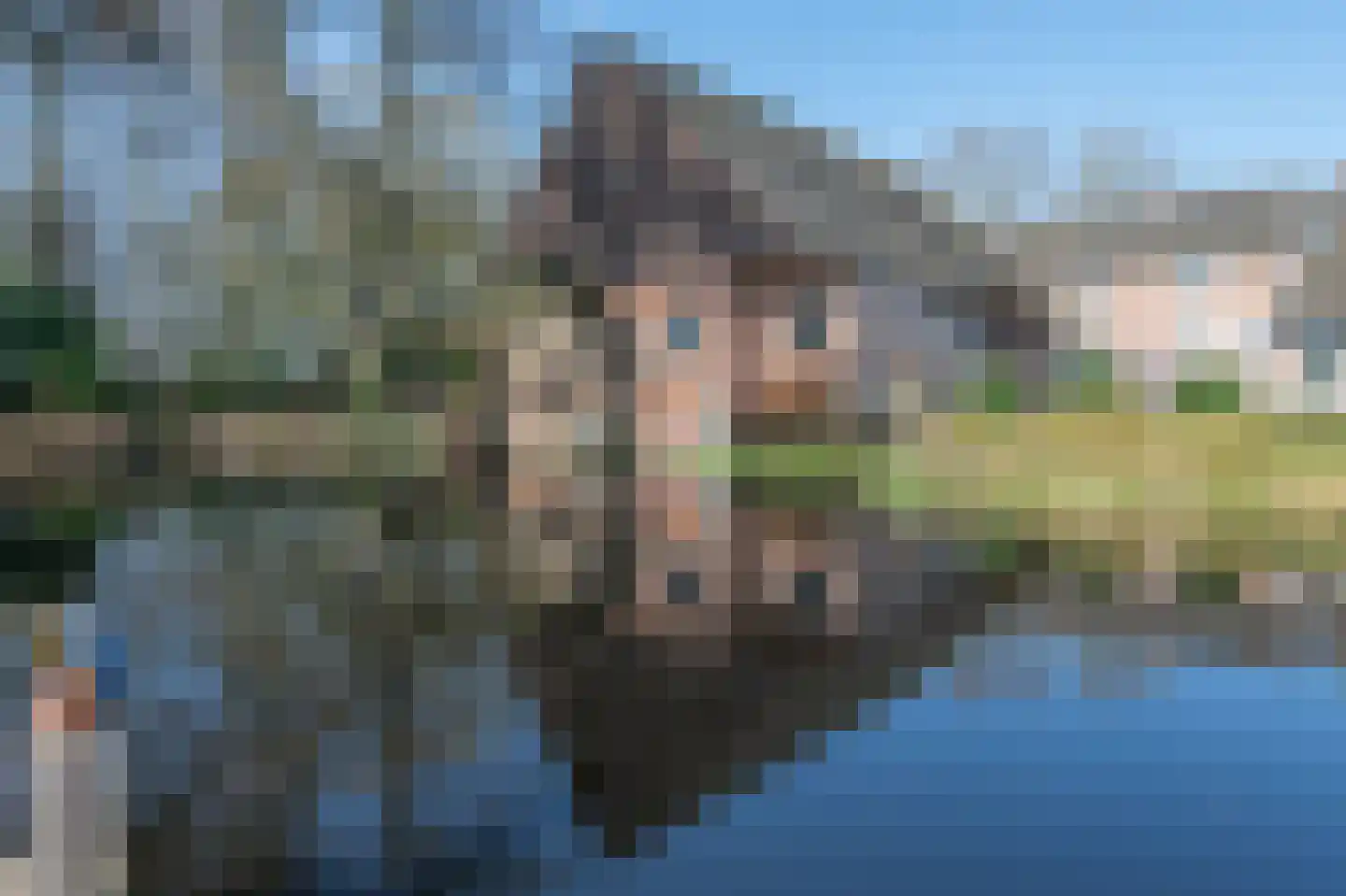 Stevert 35 Steensel thumbnail 7