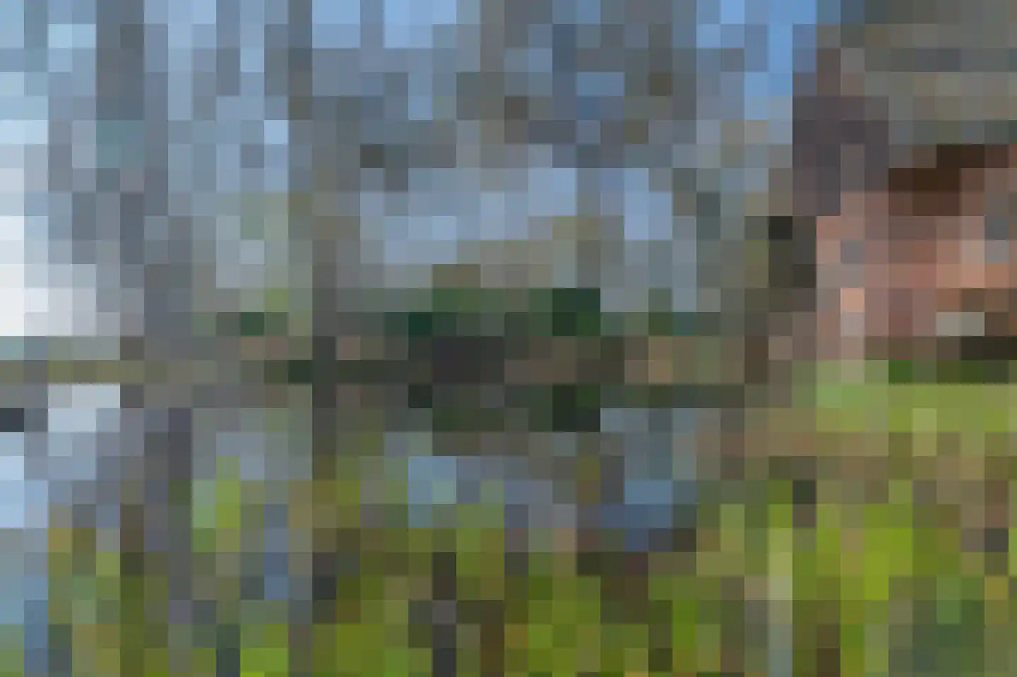 Stevert 35 Steensel thumbnail 8