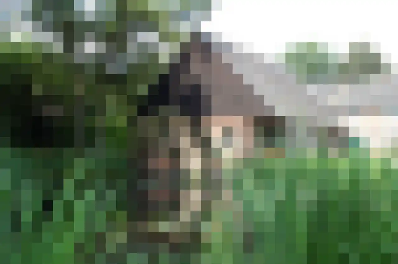 Stevert 35 Steensel thumbnail 9