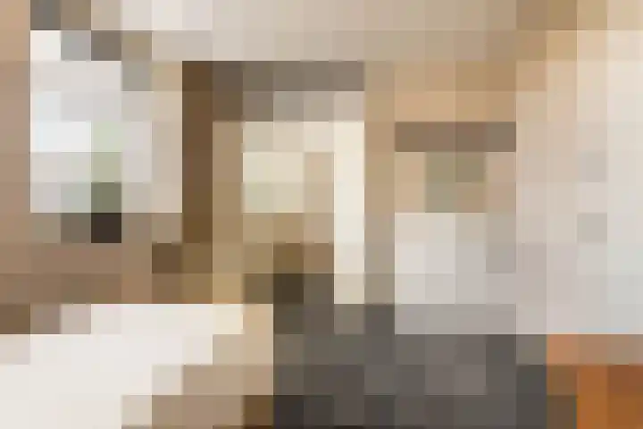 Stevinhof 12 Kudelstaart thumbnail 13