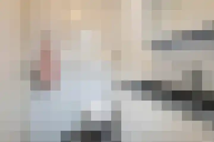 Stevinhof 12 Kudelstaart thumbnail 17