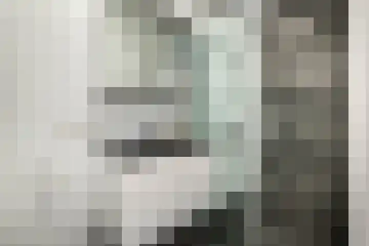 Stevinhof 12 Kudelstaart thumbnail 18