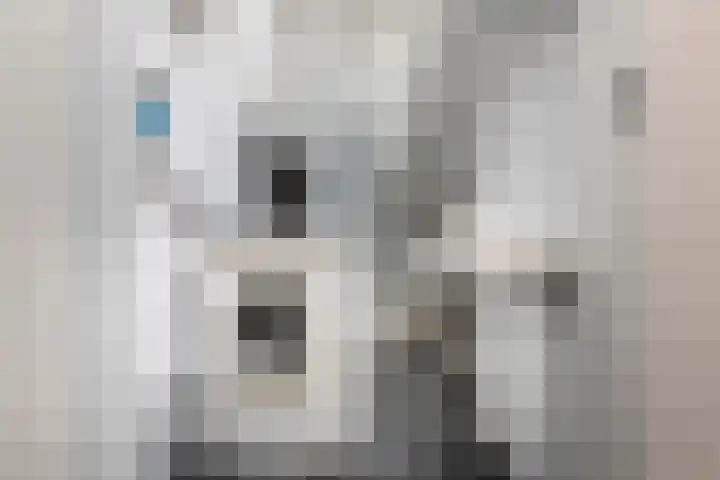 Stevinhof 12 Kudelstaart thumbnail 19