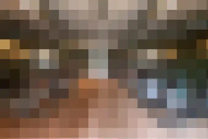Stevinhof 12 Kudelstaart thumbnail 20