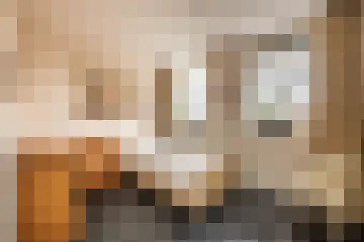 Stevinhof 12 Kudelstaart thumbnail 4
