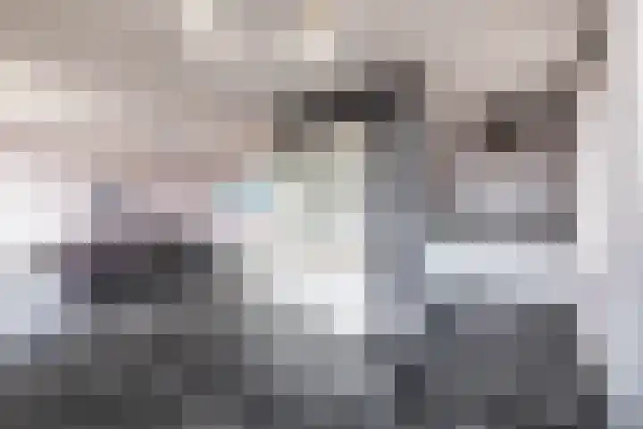 Stevinhof 12 Kudelstaart thumbnail 7
