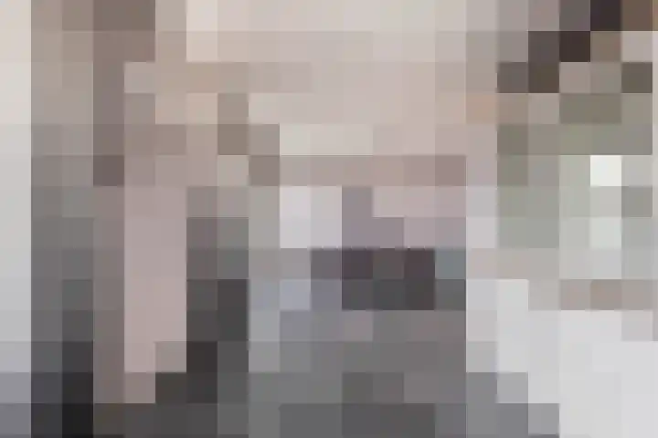 Stevinhof 12 Kudelstaart thumbnail 9