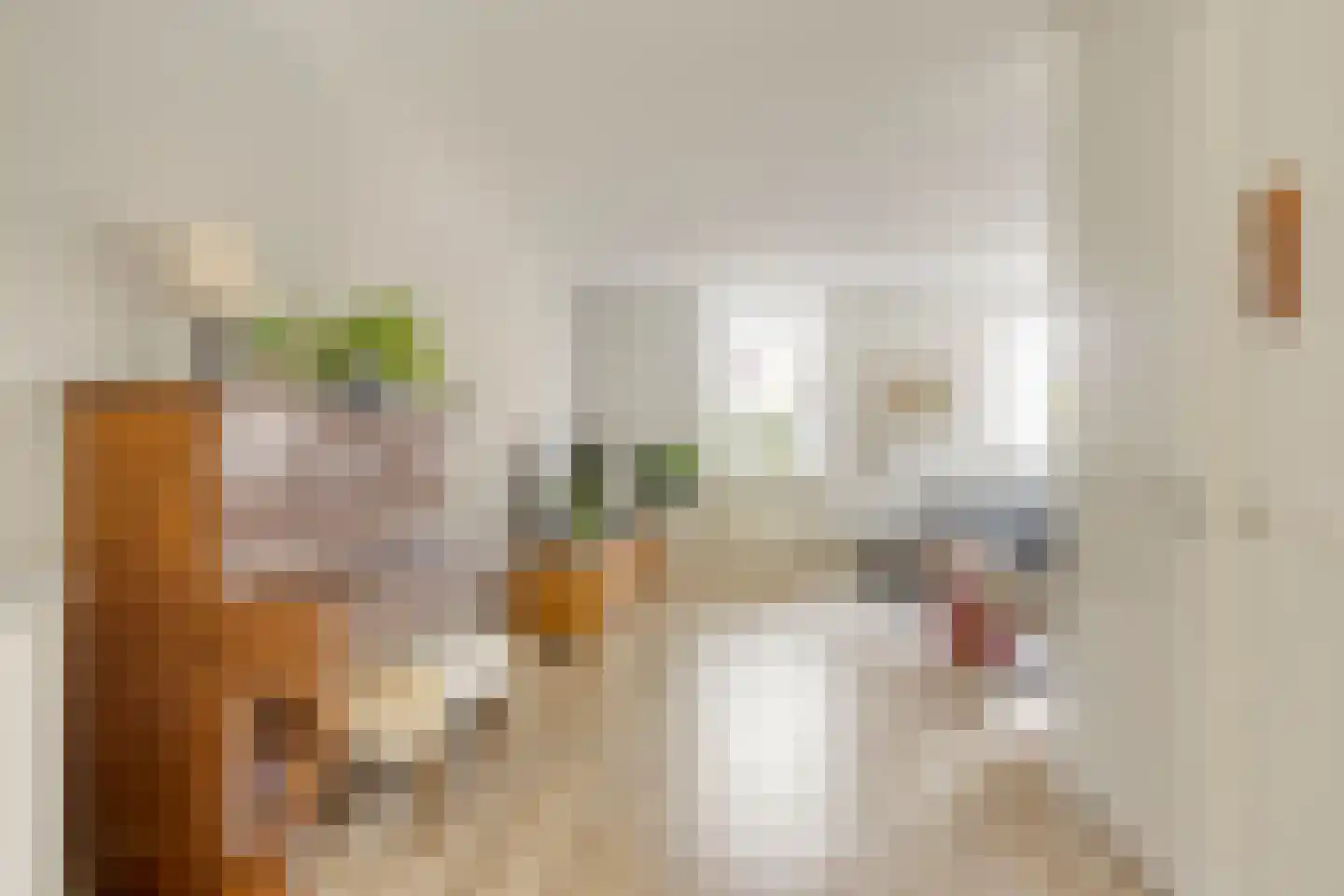 Stevinhof 24 Deventer thumbnail 8