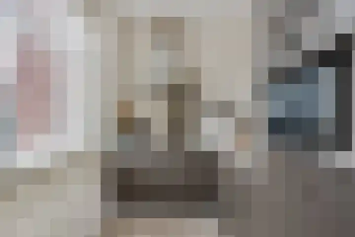 Stevinhof 25 Kudelstaart thumbnail 10