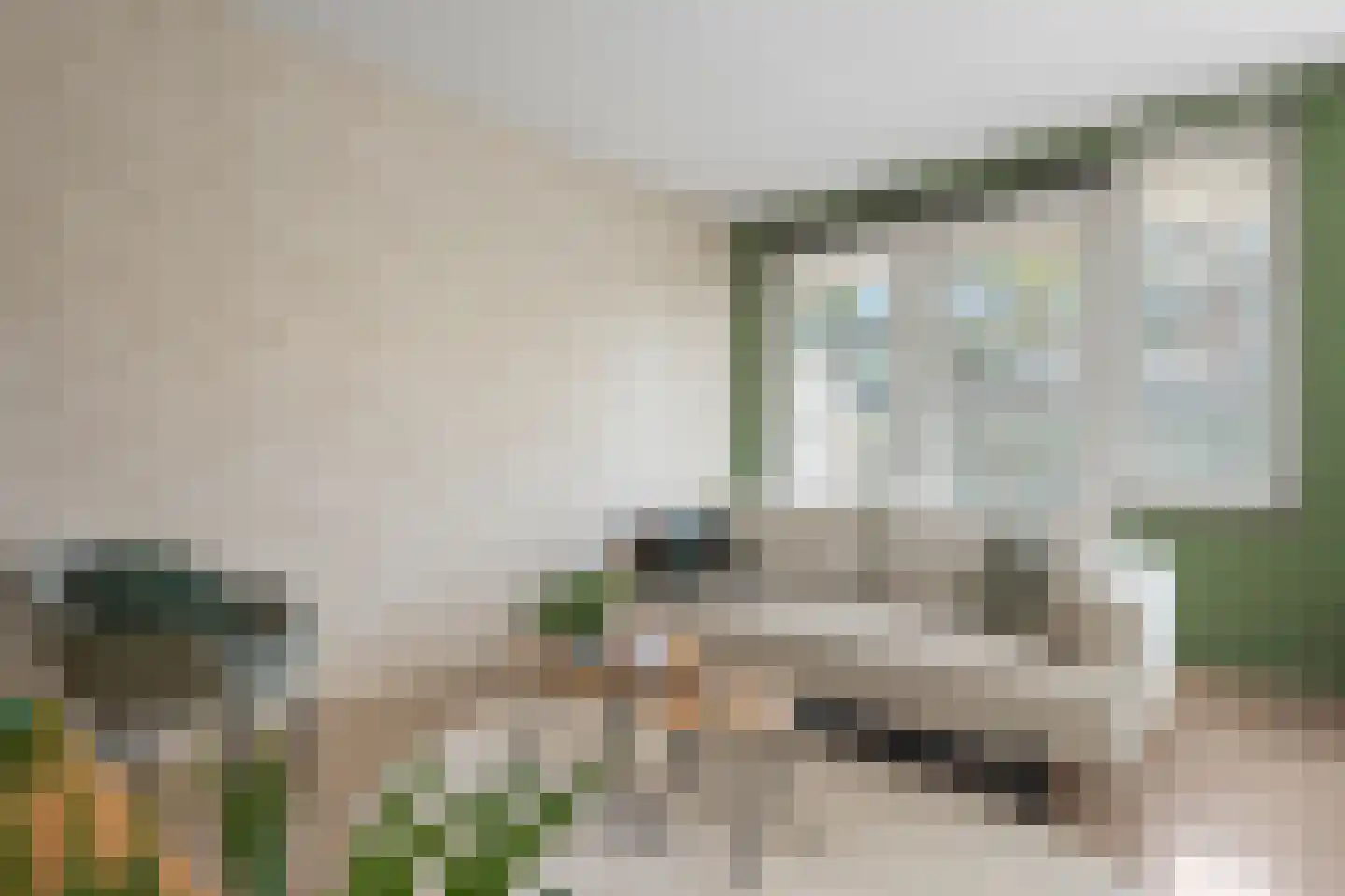 Stevinhof 25 Kudelstaart thumbnail 10