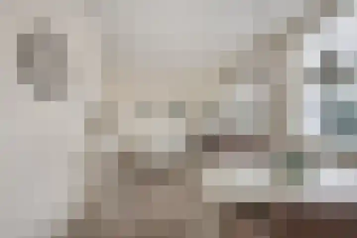 Stevinhof 25 Kudelstaart thumbnail 13