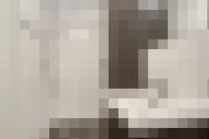 Stevinhof 25 Kudelstaart thumbnail 18
