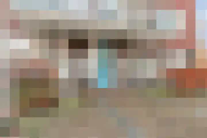 Stevinhof 25 Kudelstaart thumbnail 21