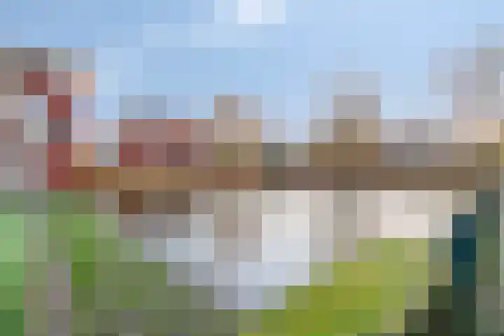 Stevinhof 25 Kudelstaart thumbnail 28