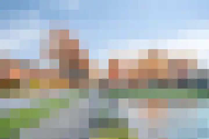 Stevinhof 25 Kudelstaart thumbnail 29