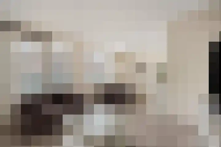 Stevinhof 25 Kudelstaart thumbnail 5