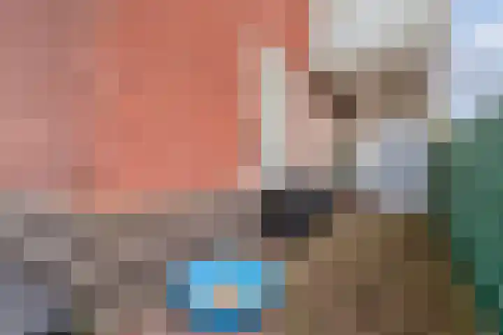 Stevinhof 25 Kudelstaart thumbnail 6