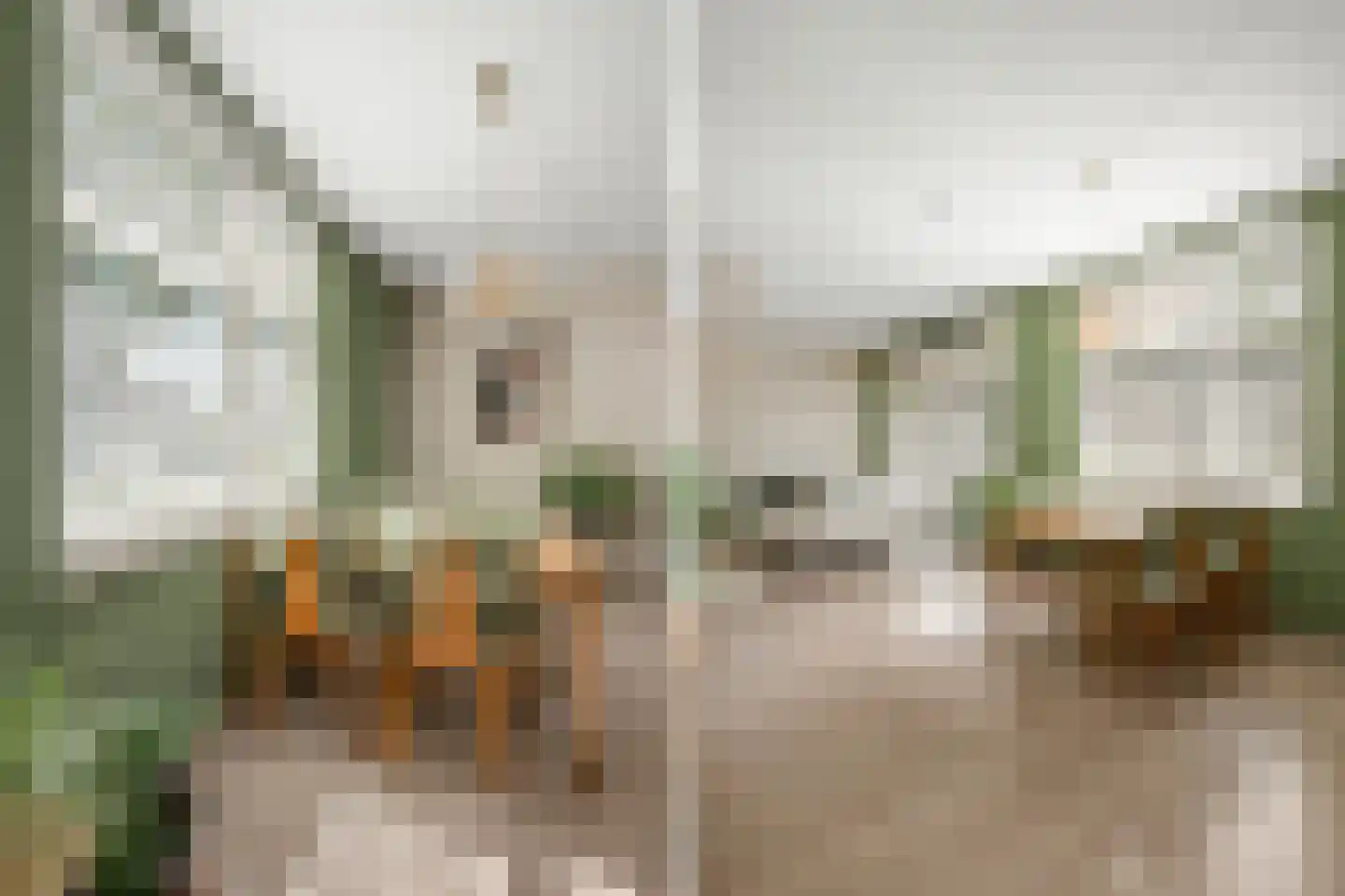 Stevinhof 25 Kudelstaart thumbnail 8
