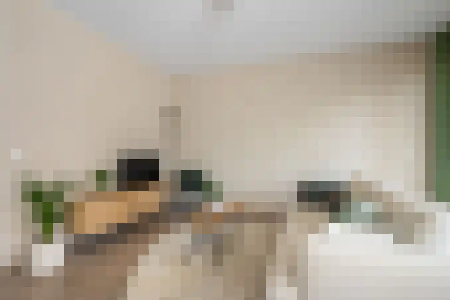 Stevinhof 25 Kudelstaart thumbnail 9