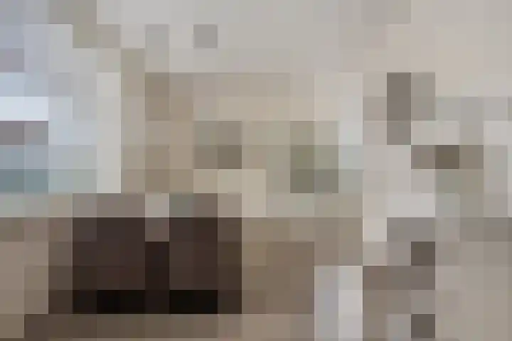 Stevinhof 25 Kudelstaart thumbnail 9
