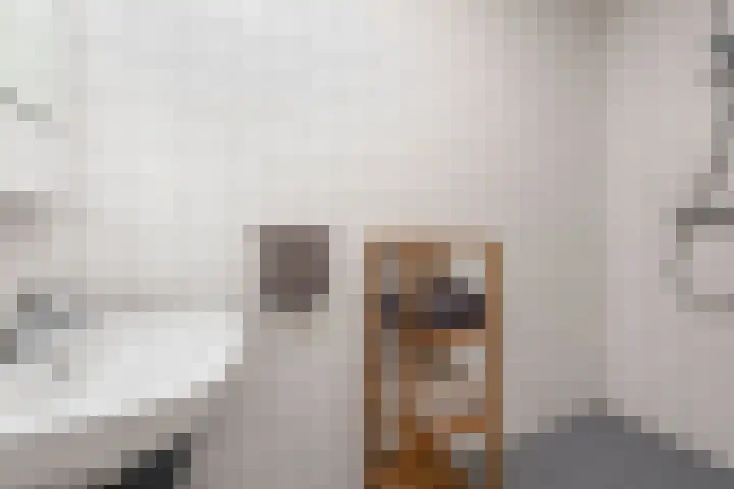 Stevinhof 31 Kudelstaart thumbnail 11