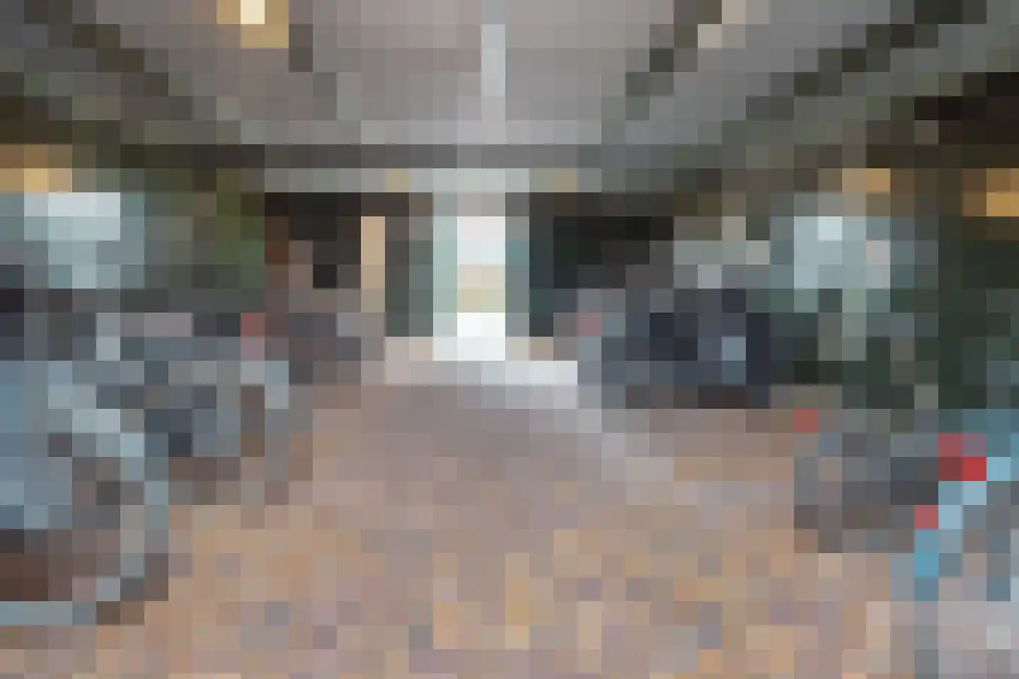 Stevinhof 31 Kudelstaart thumbnail 14