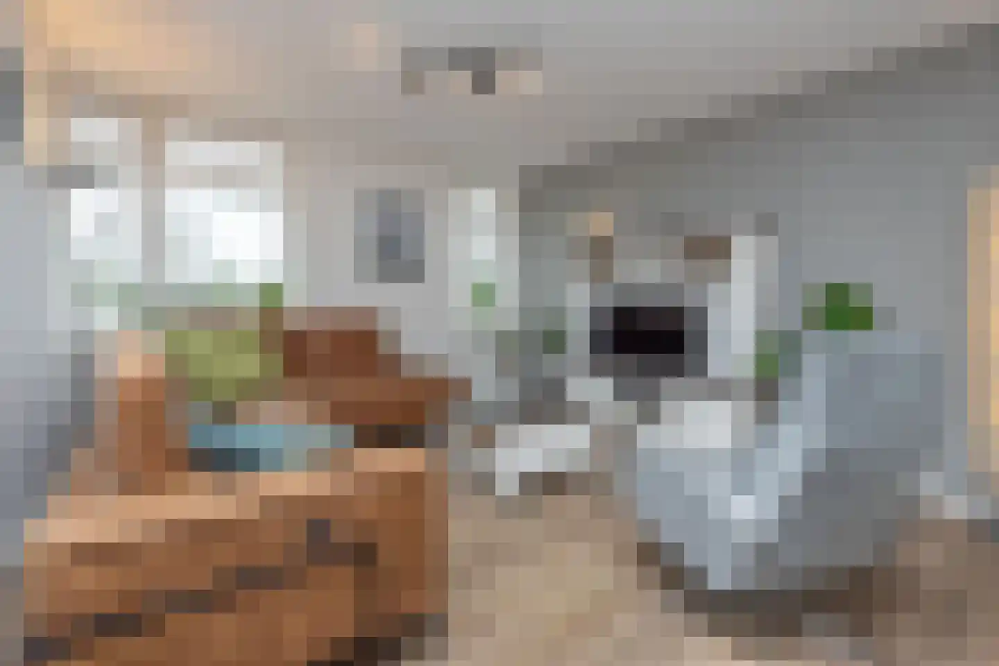 Stevinhof 31 Kudelstaart thumbnail 6