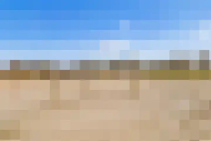Stevinhof 34 A Zeewolde thumbnail 31