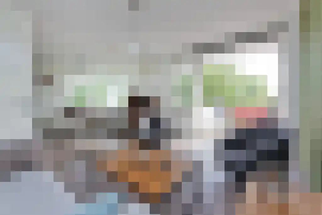 Stevinhof 35 Kudelstaart thumbnail 4