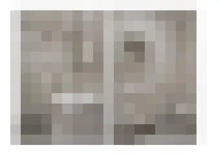 Stevinhof 4 Kudelstaart thumbnail 7