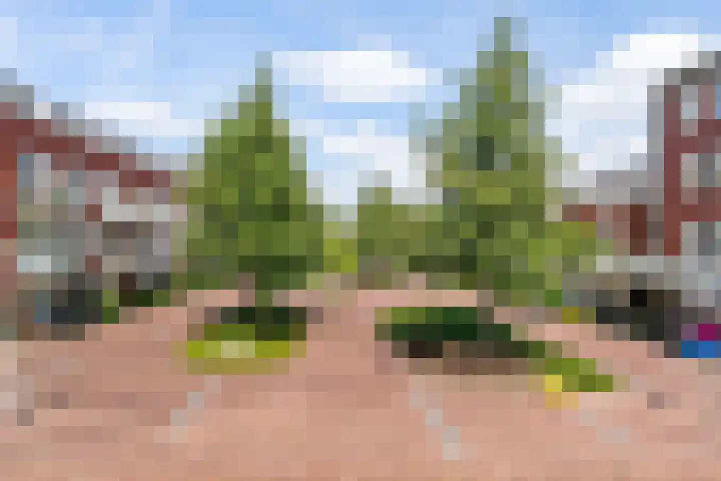 Stevinhof 6 Kudelstaart thumbnail 15