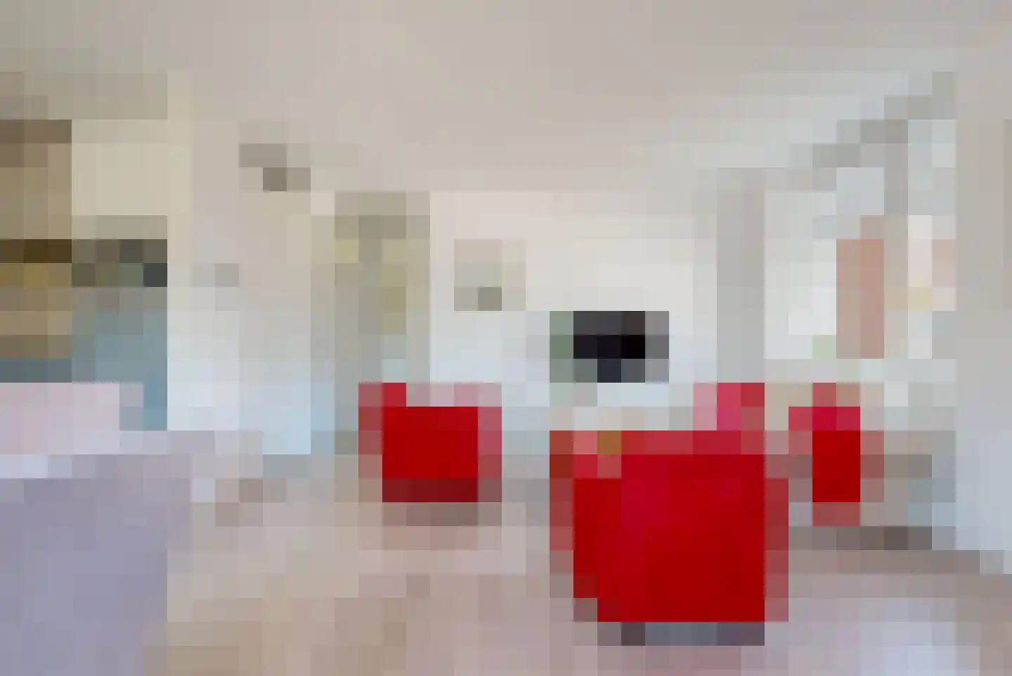 Stevinhof 6 Kudelstaart thumbnail 17