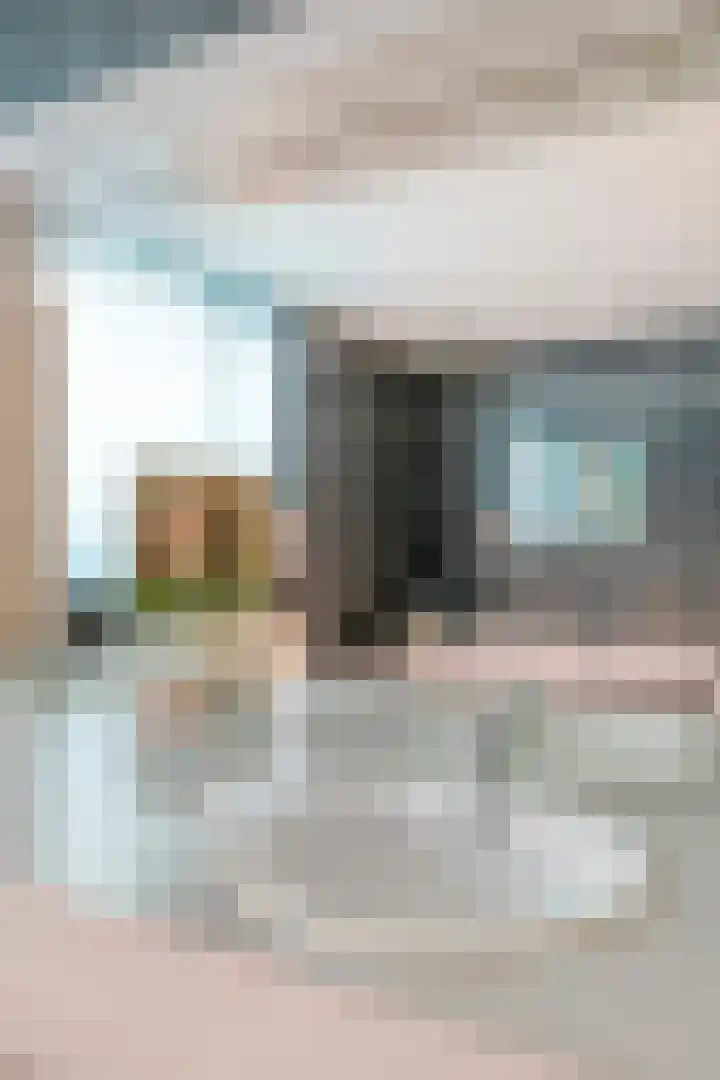 Stevinplantsoen 11 Helmond thumbnail 31