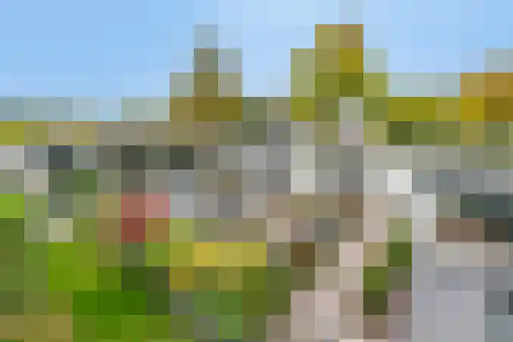 Stevinplantsoen 11 Helmond thumbnail 36