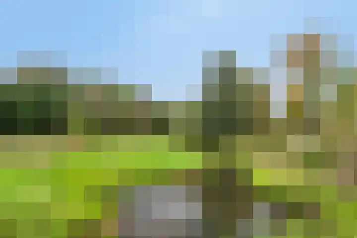 Stevinplantsoen 11 Helmond thumbnail 4