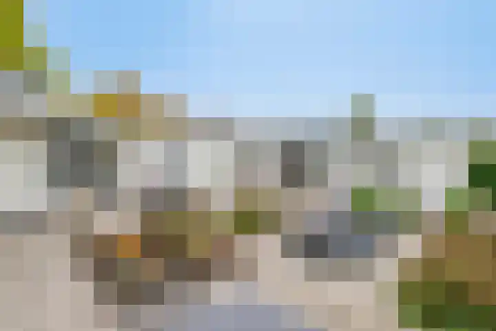 Stevinplantsoen 11 Helmond thumbnail 41